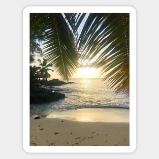 Seychelles mahe island beach palm trees paradise print Sticker